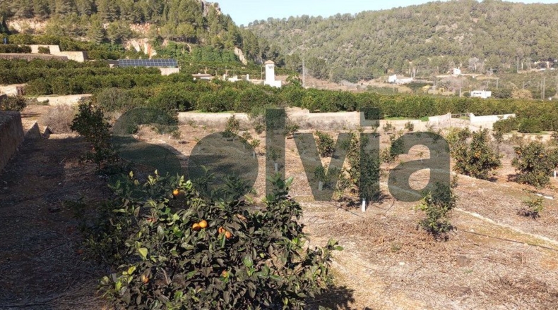 Valencia - la Barraca d'Aigües Vives - 60000m2