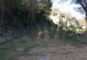 Non-developable land for sale in Alzira ref: TR109495 photo