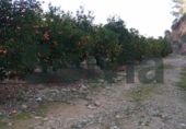 Non-developable land for sale in Alzira ref: TR109495 photo