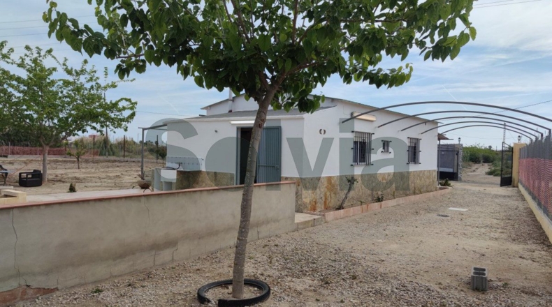 Valencia - Mareny de San Lorenzo - 2059m2