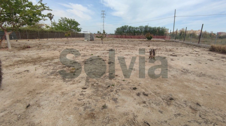 Valencia - Mareny de San Lorenzo - 2059m2