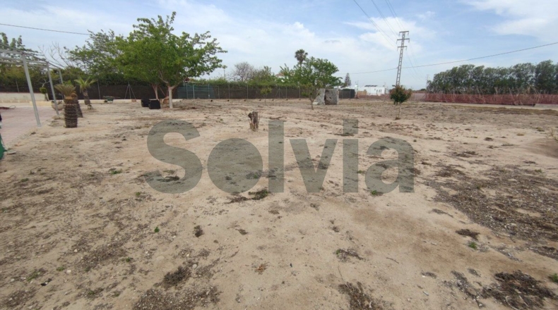 Valencia - Mareny de San Lorenzo - 2059m2