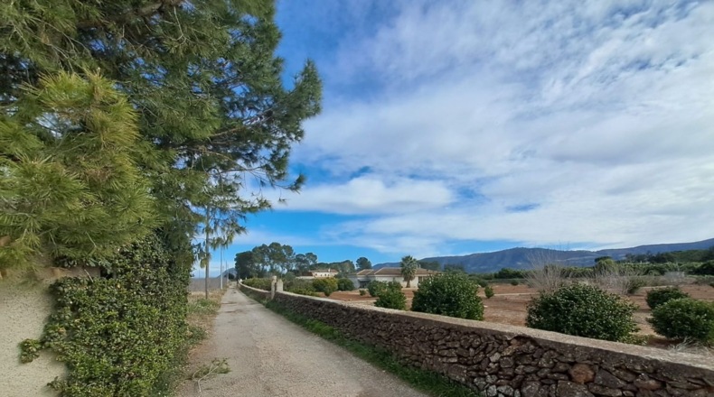 Valencia - Canals - 2169m2
