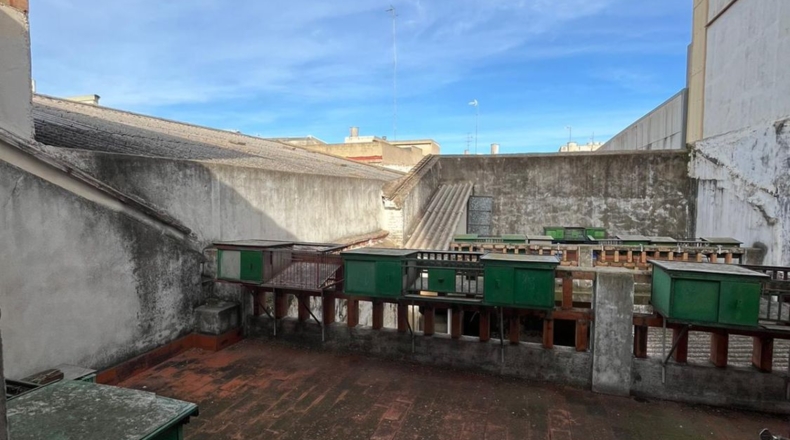 Valencia - Corbera - 199m2