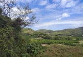 Terreno no urbanizable en venta en Tavernes de la Valldigna ref: TR189764 foto