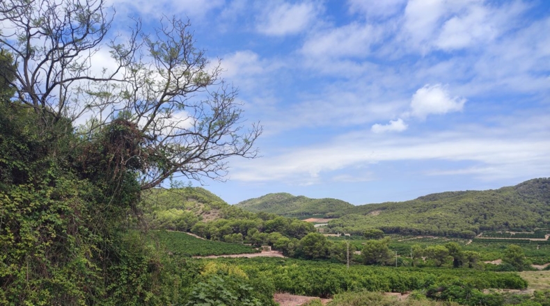 Valencia - Tabernes de Valldigna - 60m2