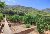 Terreno no urbanizable en venta en Tavernes de la Valldigna ref: TR189764 foto