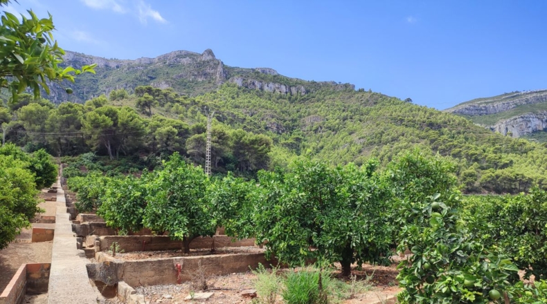 Valencia - Tabernes de Valldigna - 60m2