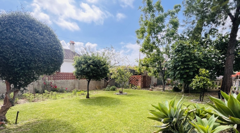 Cadiz - Algeciras - 990m2