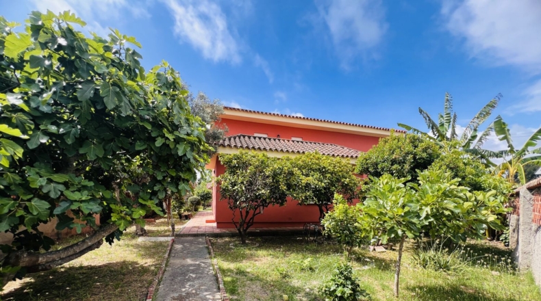 Cadiz - Algeciras - 990m2