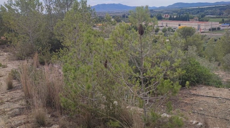 Tarragona - Tortosa - 4455m2