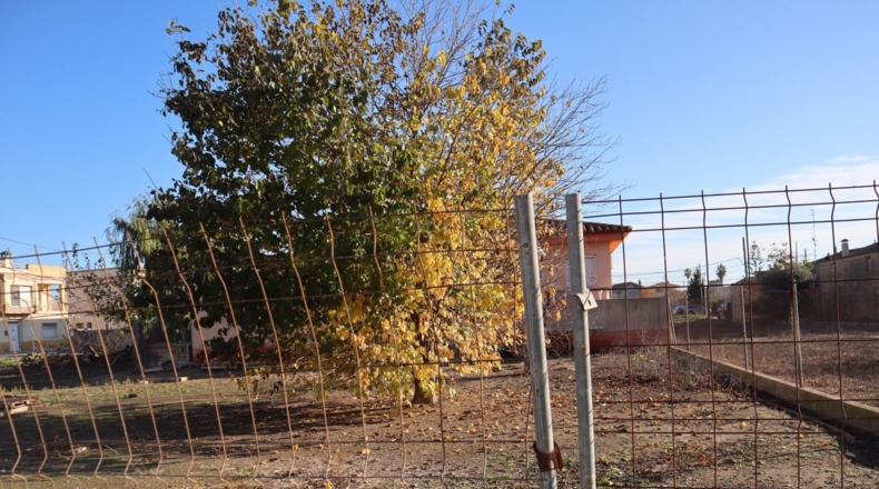 Tarragona - Deltebre - 700m2