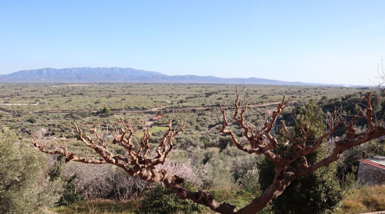 Tarragona - Mas de Barberans - 123m2