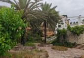 Vil·la amb terreny en venda a Mont-roig del Camp ref.: TR305648 foto