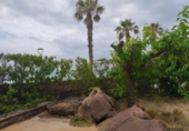 Vil·la amb terreny en venda a Mont-roig del Camp ref.: TR305648 foto