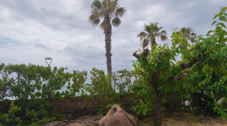 Tarragona - Mont-roig del Camp - 1414m2