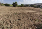 Sòl urbà en venda a la España, Deltebre, ref.: TR327018 foto
