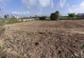 Sòl urbà en venda a la España, Deltebre, ref.: TR327018 foto
