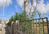 Sòl urbà en venda a la España, Deltebre, ref.: TR327018 foto