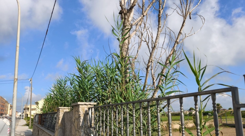 Tarragona - Deltebre - 1470m2