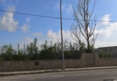 Sòl urbà en venda a la España, Deltebre, ref.: TR327018 foto