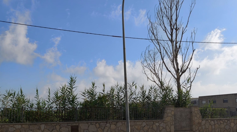 Tarragona - Deltebre - 1470m2