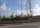 Sòl urbà en venda a la España, Deltebre, ref.: TR327018 foto