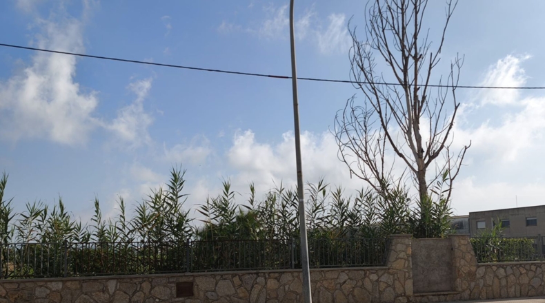 Tarragona - Deltebre - 1470m2