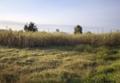 Sòl urbà en venda a la España, Sant Jaume d'Enveja, ref.: TR349378 foto