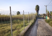 Sòl urbà en venda a la España, Sant Jaume d'Enveja, ref.: TR349378 foto