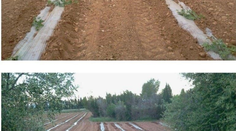 Tarragona - Camarles - 632m2