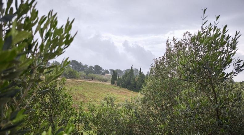 Tarragona - Camarles - 632m2