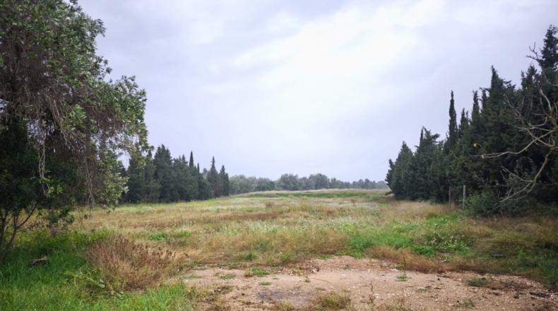 Tarragona - Camarles - 632m2