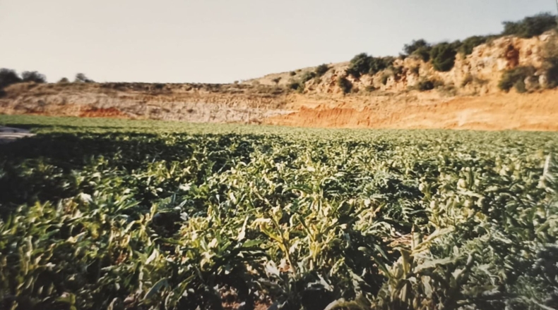 Tarragona - Camarles - 632m2