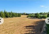 Finca rústica en venda a Camarles ref.: TR371576 foto