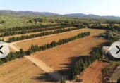 Finca rústica en venda a Camarles ref.: TR371576 foto