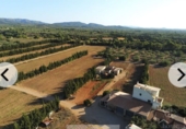 Finca rústica en venda a Camarles ref.: TR371576 foto