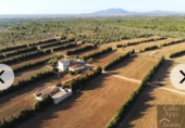 Finca rústica en venda a Camarles ref.: TR371576 foto