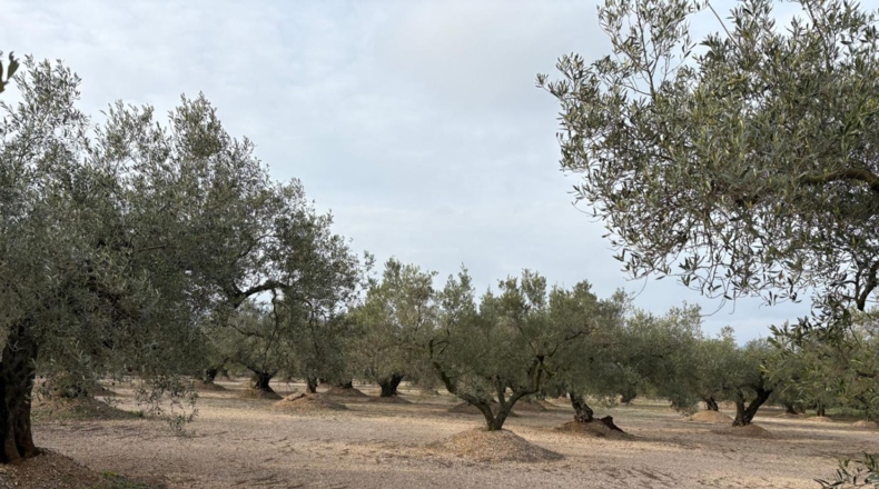 Tarragona - Mas de Barberans - 30m2