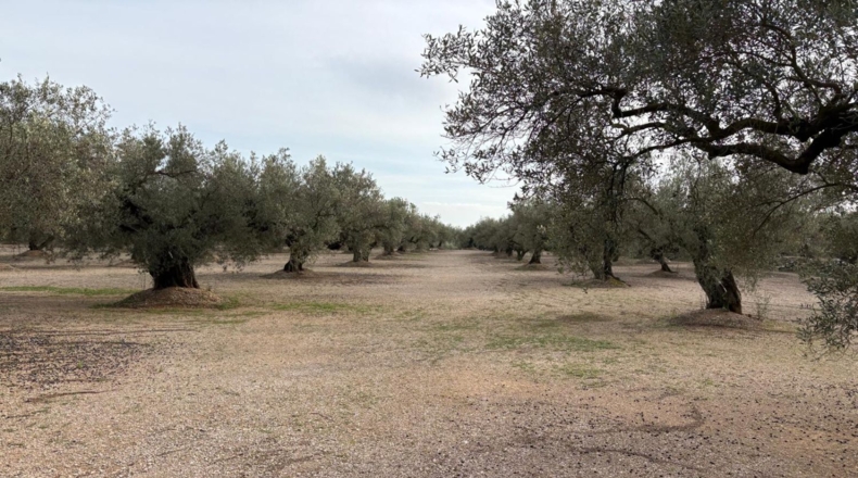 Tarragona - Mas de Barberans - 30m2