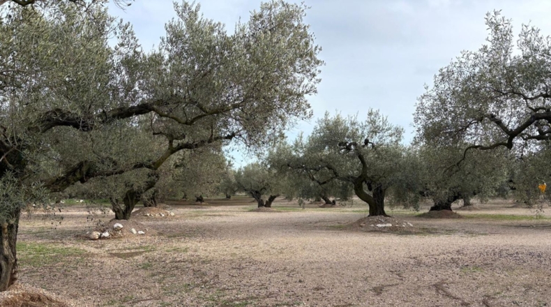 Tarragona - Mas de Barberans - 30m2