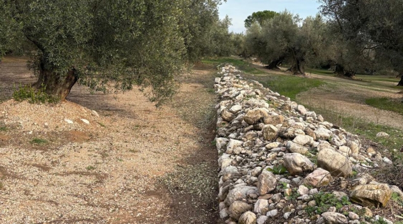 Tarragona - Mas de Barberans - 30m2