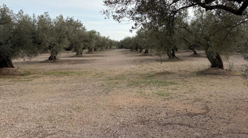 Tarragona - Mas de Barberans - 30m2