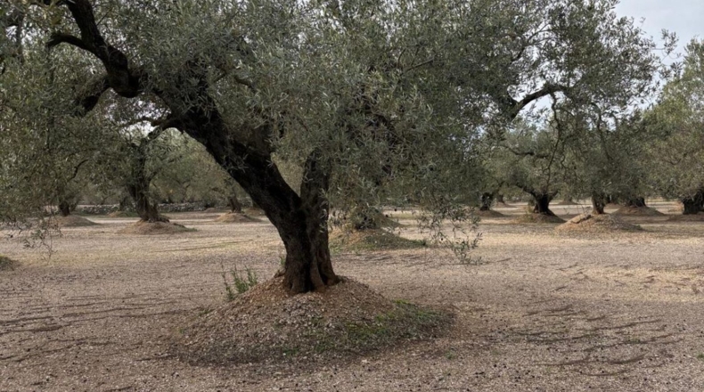 Tarragona - Mas de Barberans - 30m2
