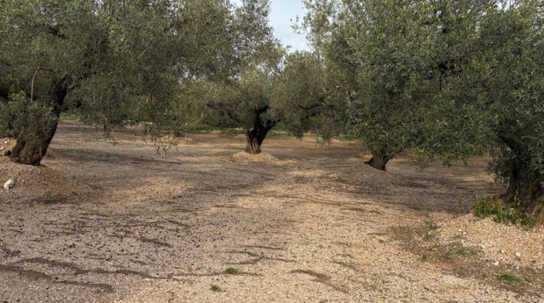Tarragona - Mas de Barberans - 30m2
