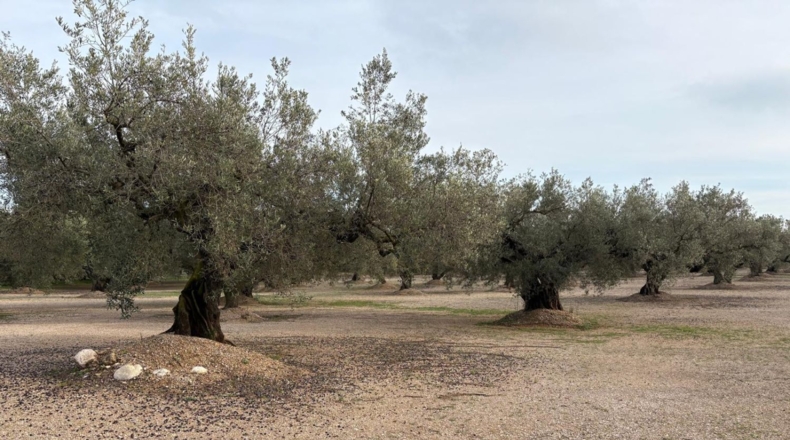 Tarragona - Mas de Barberans - 30m2