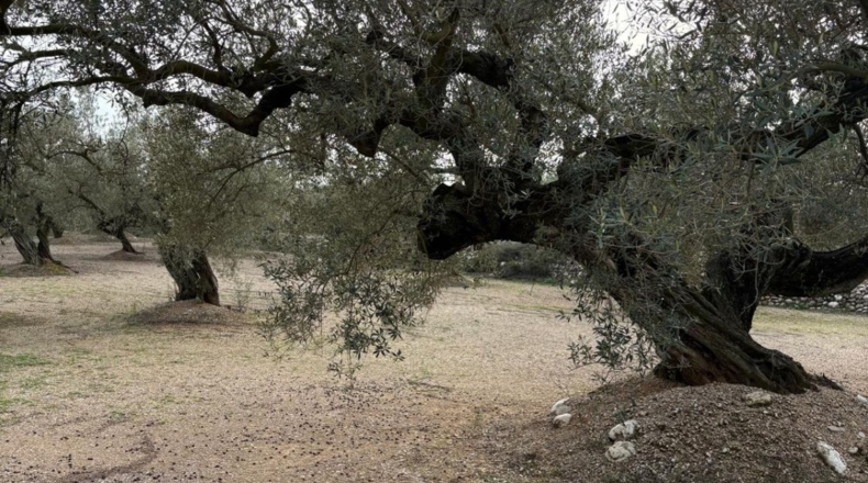 Tarragona - Mas de Barberans - 30m2
