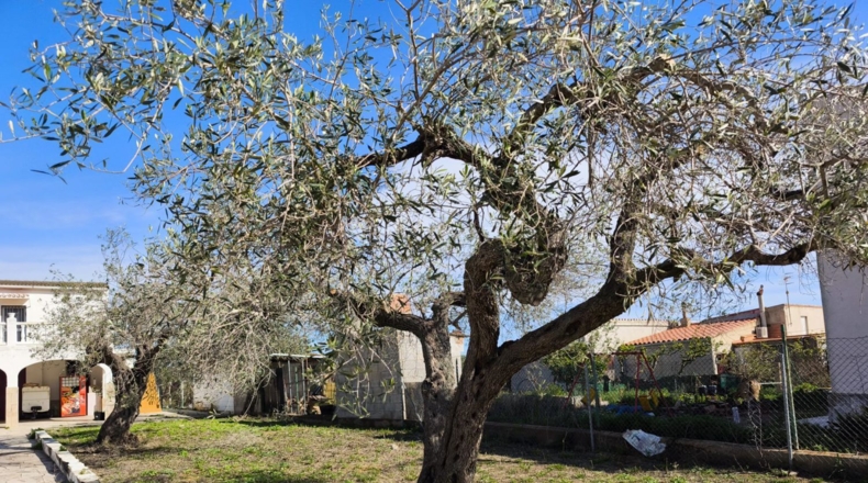Tarragona - l'Ampolla - 312m2