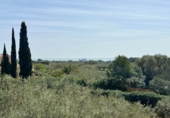 Finca rústica en venta en l'Ampolla ref: TR405058 foto
