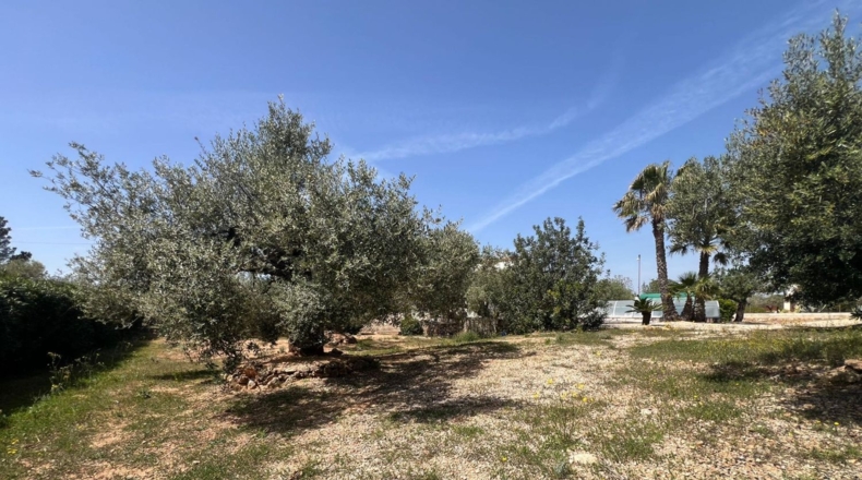 Tarragona - l'Ampolla - 2457m2